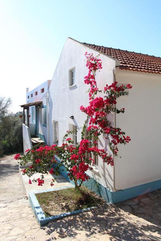 Casa Do Avo Teixeira Villa Sesimbra Exterior foto