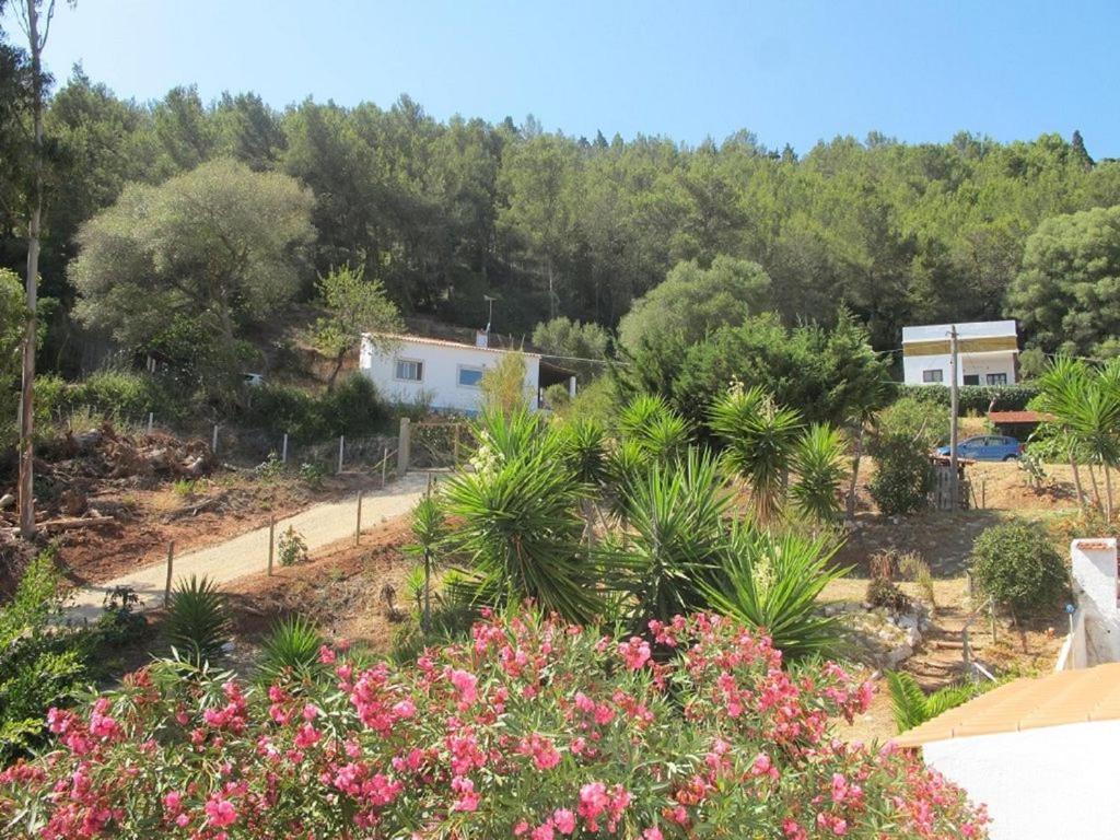 Casa Do Avo Teixeira Villa Sesimbra Exterior foto